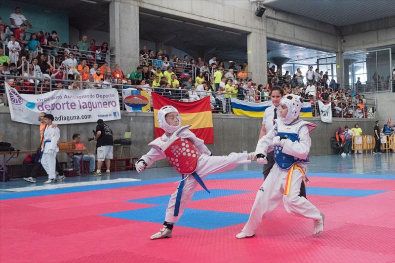 Escuela La Laguna y Club Taebek, ganadores del II Open Isla de Tenerife de Taekwondo 