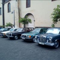 El Club Mercedes-Benz Veteranos de Canarias organiza una exposición en La Laguna 